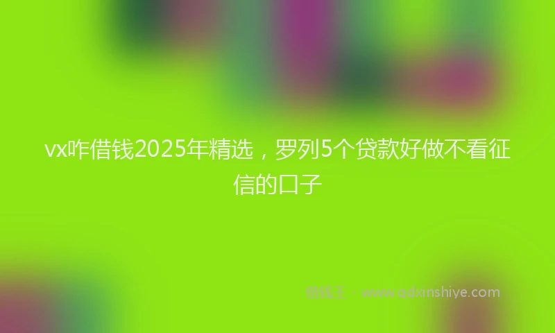 vx咋借钱2025年精选，罗列5个贷款好做不看征信的口子
