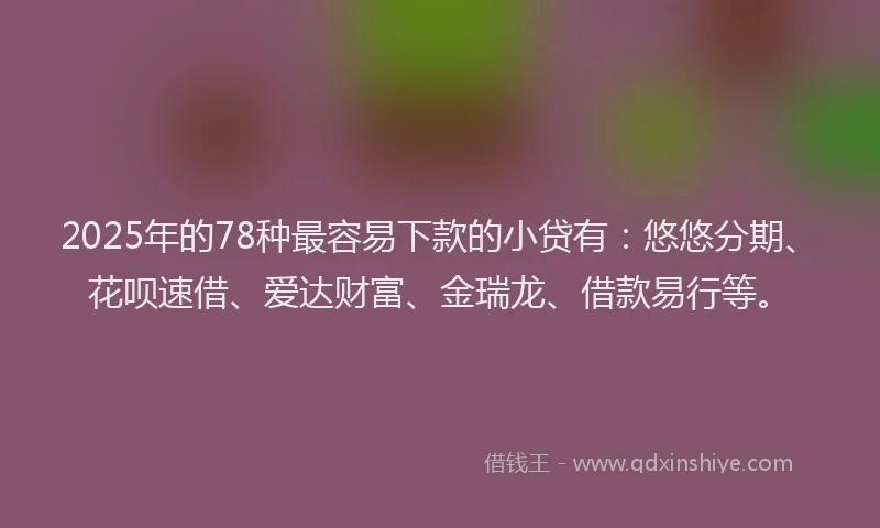 2025年的78种最容易下款的小贷有：悠悠分期、花呗速借、爱达财富、金瑞龙、借款易行等。