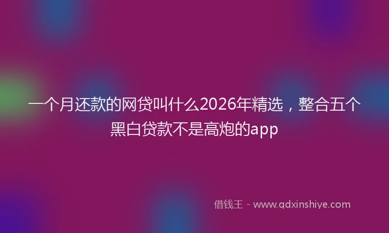 一个月还款的网贷叫什么2026年精选，整合五个黑白贷款不是高炮的app