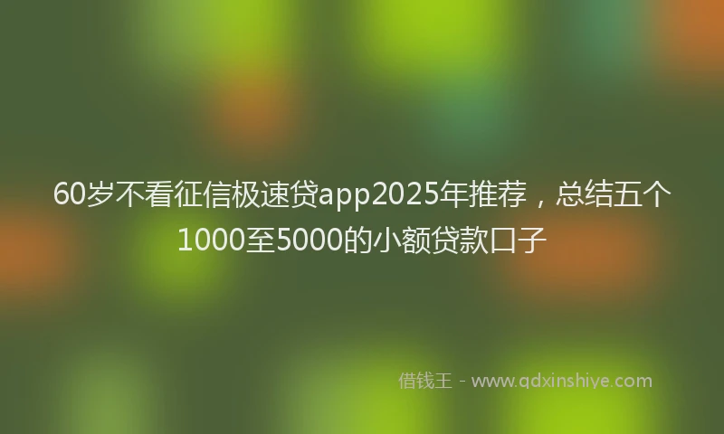 60岁不看征信极速贷app2025年推荐，总结五个1000至5000的小额贷款口子