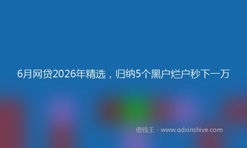 6月网贷2026年精选，归纳5个黑户烂户秒下一万