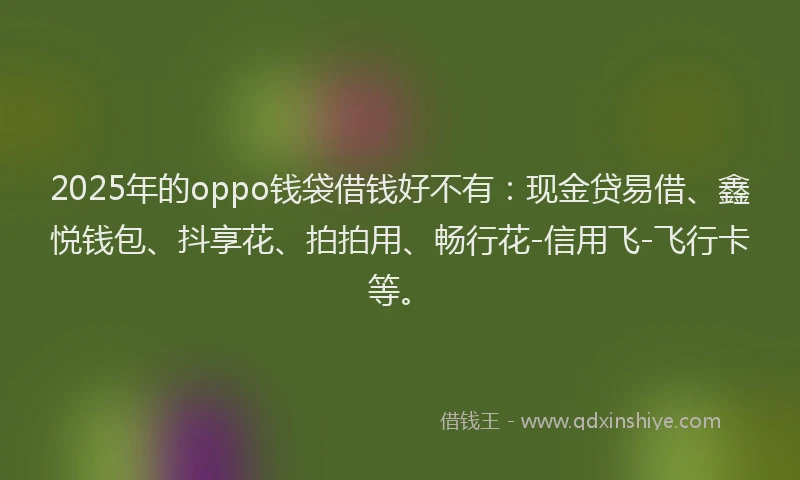 2025年的oppo钱袋借钱好不有：现金贷易借、鑫悦钱包、抖享花、拍拍用、畅行花-信用飞-飞行卡等。