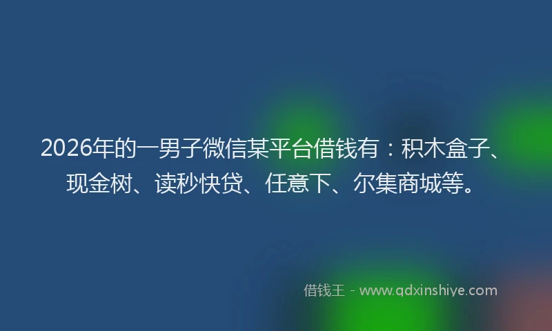 2026年的一男子微信某平台借钱有：积木盒子、现金树、读秒快贷、任意下、尔集商城等。