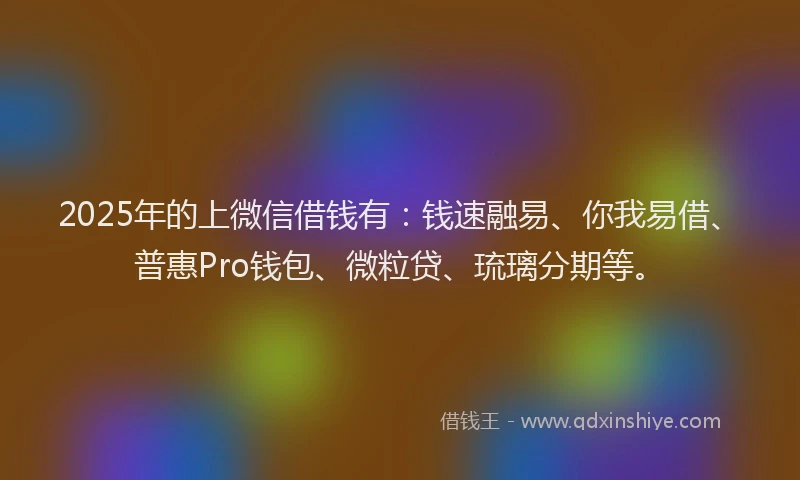2025年的上微信借钱有：钱速融易、你我易借、普惠Pro钱包、微粒贷、琉璃分期等。