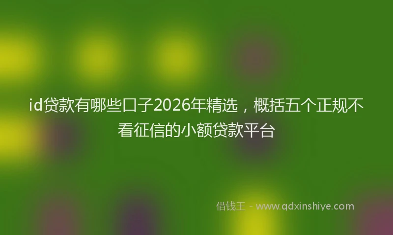 id贷款有哪些口子2026年精选，概括五个正规不看征信的小额贷款平台