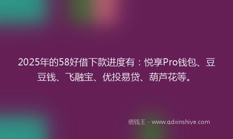 2025年的58好借下款进度有：悦享Pro钱包、豆豆钱、飞融宝、优投易贷、葫芦花等。