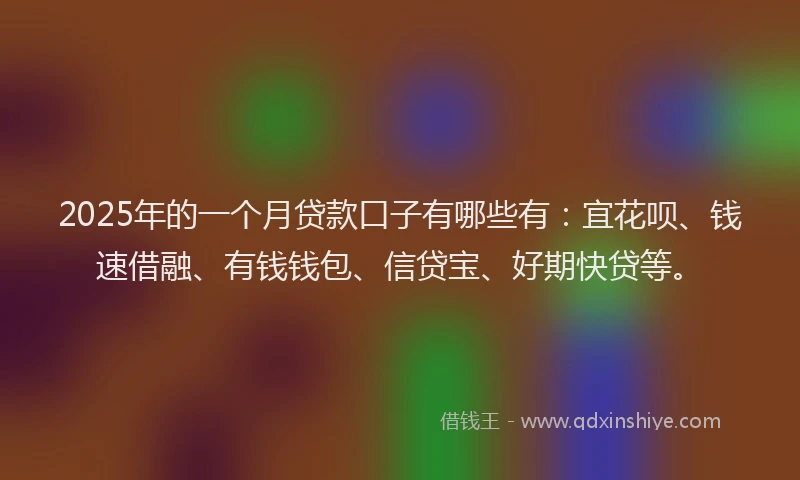 2025年的一个月贷款口子有哪些有：宜花呗、钱速借融、有钱钱包、信贷宝、好期快贷等。