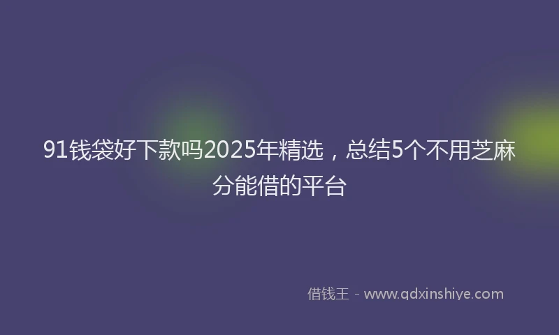 91钱袋好下款吗2025年精选，总结5个不用芝麻分能借的平台