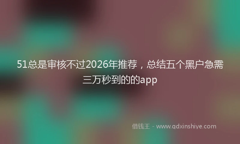 51总是审核不过2026年推荐，总结五个黑户急需三万秒到的的app