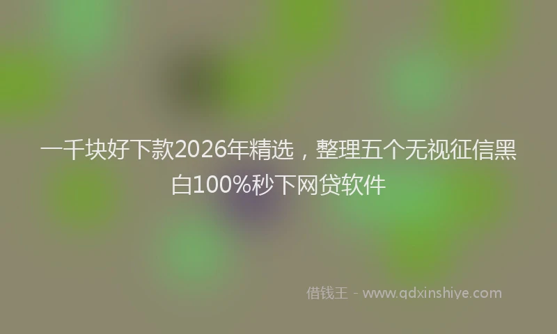 一千块好下款2026年精选，整理五个无视征信黑白100%秒下网贷软件