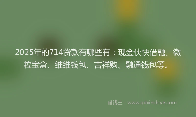2025年的714贷款有哪些有：现金侠快借融、微粒宝盒、维维钱包、吉祥购、融通钱包等。
