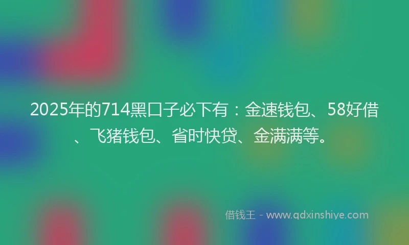 2025年的714黑口子必下有：金速钱包、58好借、飞猪钱包、省时快贷、金满满等。