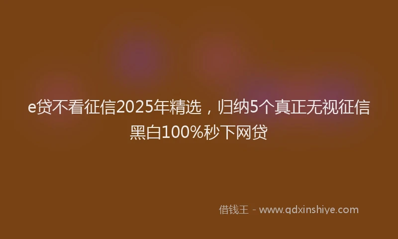 e贷不看征信2025年精选，归纳5个真正无视征信黑白100%秒下网贷