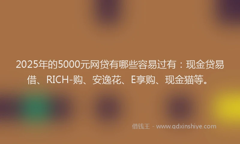 2025年的5000元网贷有哪些容易过有：现金贷易借、RICH-购、安逸花、E享购、现金猫等。