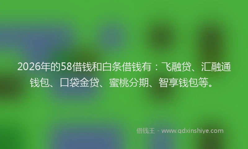 2026年的58借钱和白条借钱有:飞融贷、汇融通钱包、口袋金贷、蜜桃分期、智享钱包等。