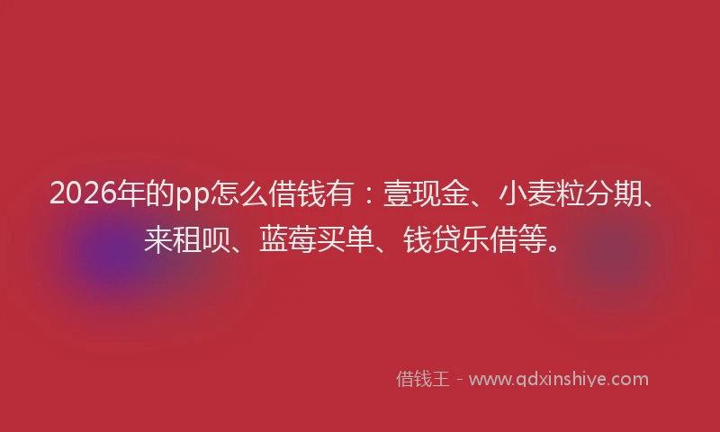 2026年的pp怎么借钱有：壹现金、小麦粒分期、来租呗、蓝莓买单、钱贷乐借等。