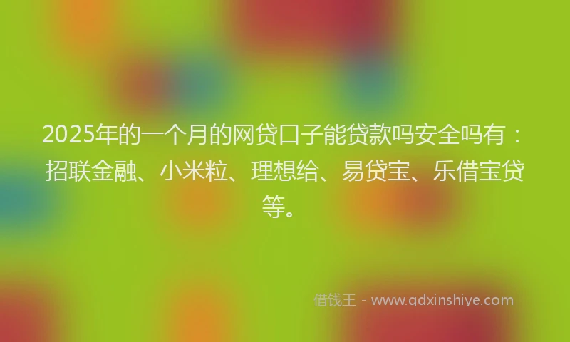2025年的一个月的网贷口子能贷款吗安全吗有：招联金融、小米粒、理想给、易贷宝、乐借宝贷等。