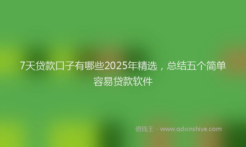7天贷款口子有哪些2025年精选，总结五个简单容易贷款软件