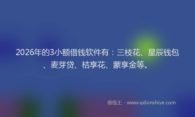 2026年的3小额借钱软件有：三枝花、星辰钱包、麦芽贷、桔享花、蒙享金等。