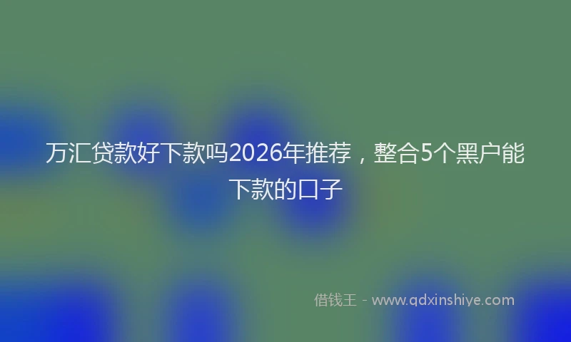 万汇贷款好下款吗2026年推荐，整合5个黑户能下款的口子