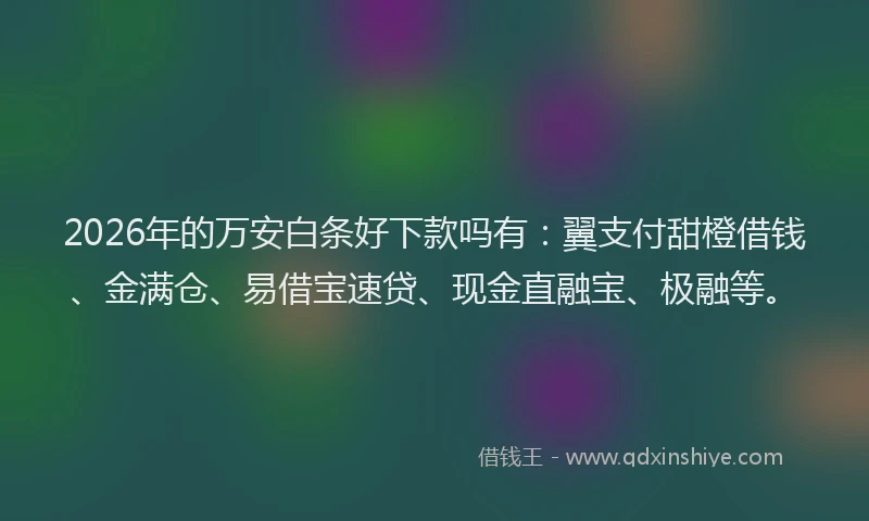 2026年的万安白条好下款吗有：翼支付甜橙借钱、金满仓、易借宝速贷、现金直融宝、极融等。