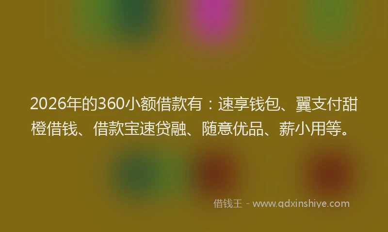 2026年的360小额借款有：速享钱包、翼支付甜橙借钱、借款宝速贷融、随意优品、薪小用等。