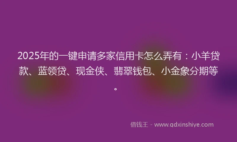 2025年的一键申请多家信用卡怎么弄有：小羊贷款、蓝领贷、现金侠、翡翠钱包、小金象分期等。