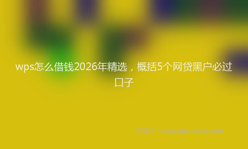 wps怎么借钱2026年精选，概括5个网贷黑户必过口子