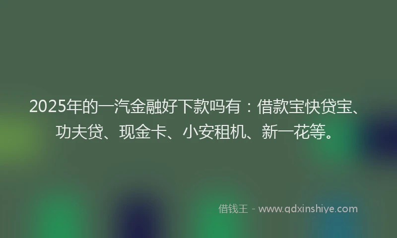 2025年的一汽金融好下款吗有：借款宝快贷宝、功夫贷、现金卡、小安租机、新一花等。
