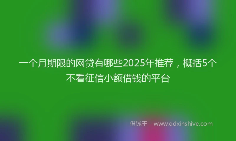 一个月期限的网贷有哪些2025年推荐，概括5个不看征信小额借钱的平台