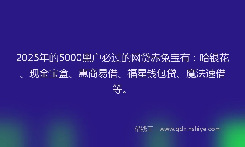 2025年的5000黑户必过的网贷赤兔宝有：哈银花、现金宝盒、惠商易借、福星钱包贷、魔法速借等。