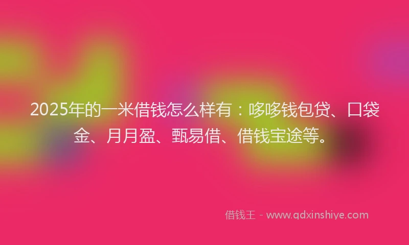 2025年的一米借钱怎么样有：哆哆钱包贷、口袋金、月月盈、甄易借、借钱宝途等。