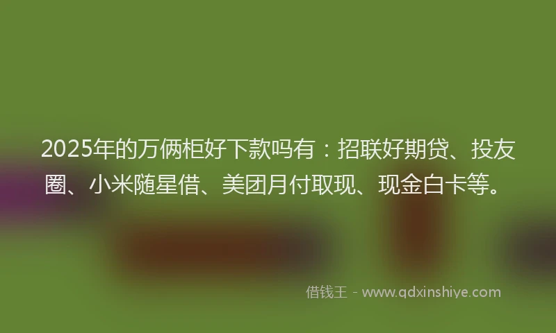 2025年的万俩柜好下款吗有:招联好期贷、投友圈、小米随星借、美团月付取现、现金白卡等。
