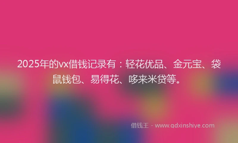 2025年的vx借钱记录有:轻花优品、金元宝、袋鼠钱包、易得花、哆来米贷等。