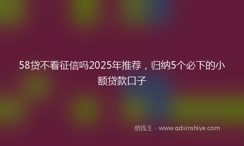58贷不看征信吗2025年推荐，归纳5个必下的小额贷款口子