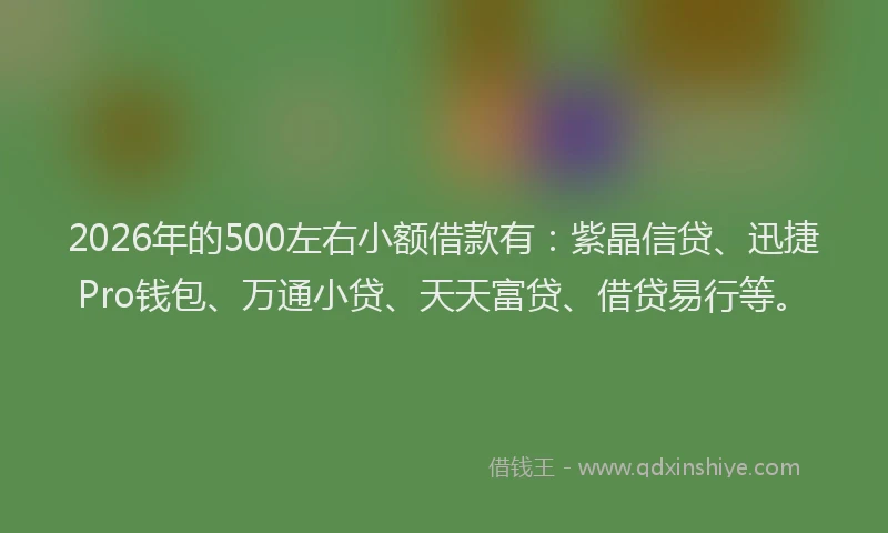 2026年的500左右小额借款有：紫晶信贷、迅捷Pro钱包、万通小贷、天天富贷、借贷易行等。