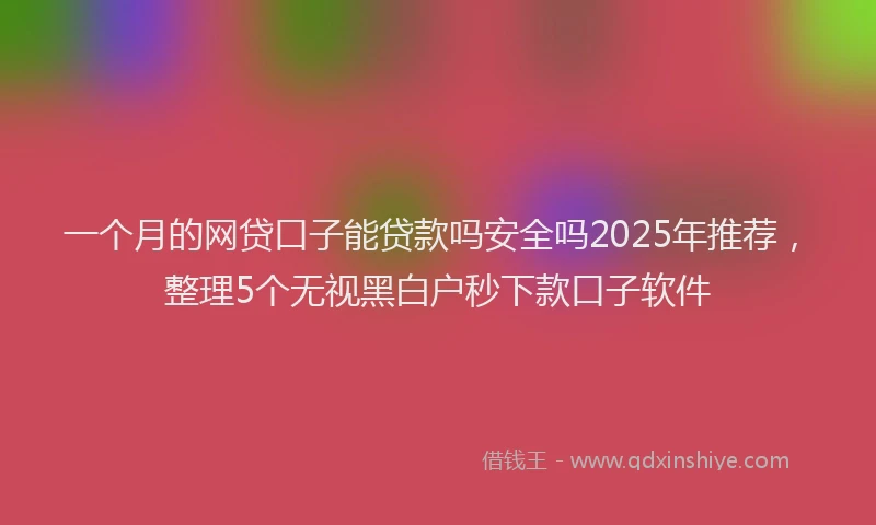 一个月的网贷口子能贷款吗安全吗2025年推荐，整理5个无视黑白户秒下款口子软件