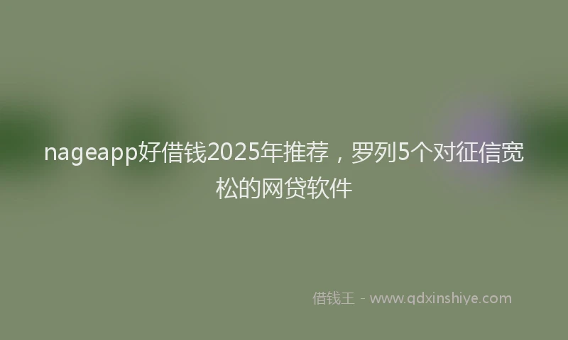 nageapp好借钱2025年推荐,罗列5个对征信宽松的网贷软件