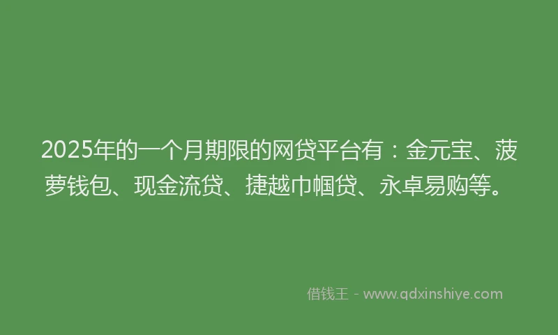 2025年的一个月期限的网贷平台有：金元宝、菠萝钱包、现金流贷、捷越巾帼贷、永卓易购等。
