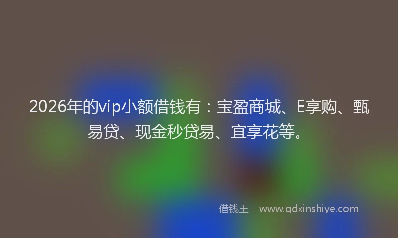 2026年的vip小额借钱有：宝盈商城、E享购、甄易贷、现金秒贷易、宜享花等。