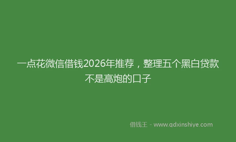 一点花微信借钱2026年推荐，整理五个黑白贷款不是高炮的口子