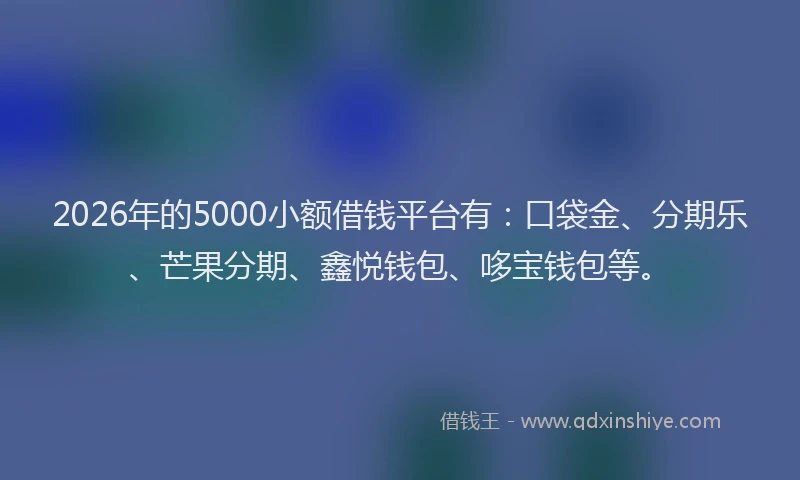 2026年的5000小额借钱平台有:口袋金、分期乐、芒果分期、鑫悦钱包、哆宝钱包等。