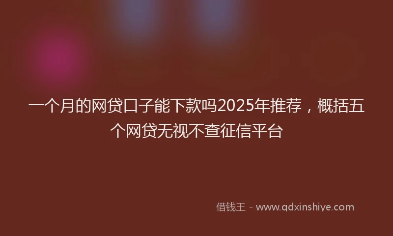 一个月的网贷口子能下款吗2025年推荐，概括五个网贷无视不查征信平台