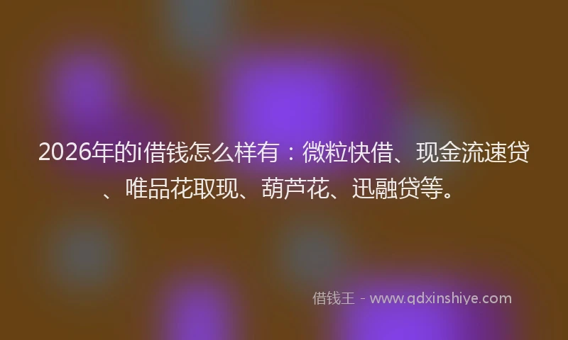 2026年的i借钱怎么样有：微粒快借、现金流速贷、唯品花取现、葫芦花、迅融贷等。