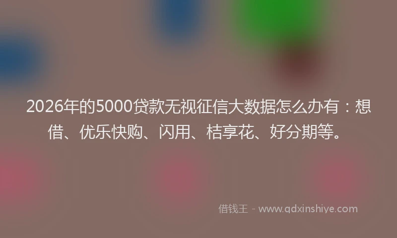 2026年的5000贷款无视征信大数据怎么办有:想借、优乐快购、闪用、桔享花、好分期等。