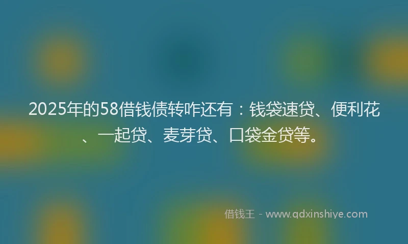 2025年的58借钱债转咋还有：钱袋速贷、便利花、一起贷、麦芽贷、口袋金贷等。
