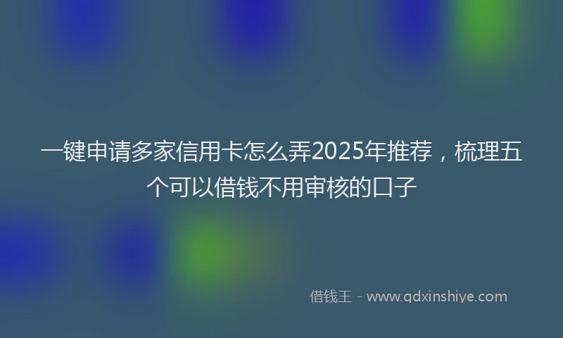 一键申请多家信用卡怎么弄2025年推荐，梳理五个可以借钱不用审核的口子