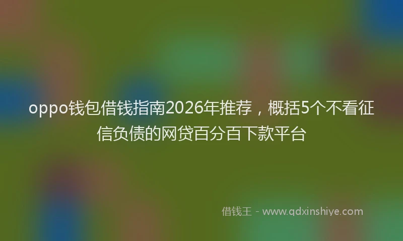 oppo钱包借钱指南2026年推荐，概括5个不看征信负债的网贷百分百下款平台