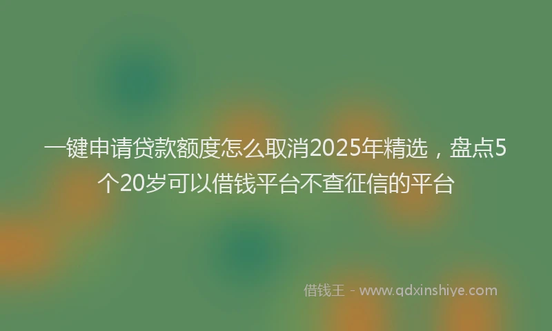 一键申请贷款额度怎么取消2025年精选，盘点5个20岁可以借钱平台不查征信的平台