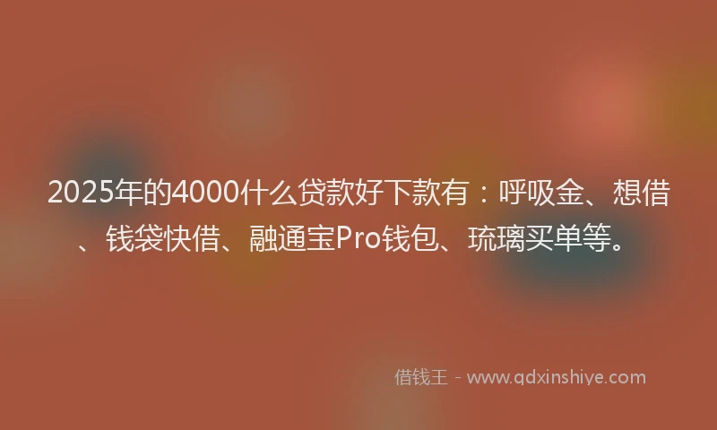 2025年的4000什么贷款好下款有：呼吸金、想借、钱袋快借、融通宝Pro钱包、琉璃买单等。